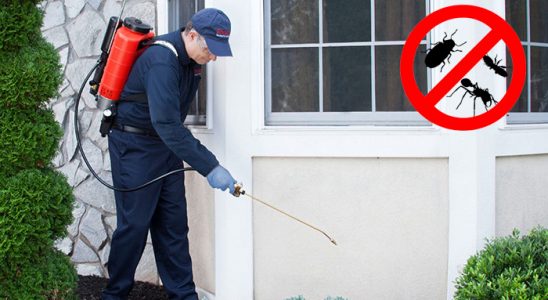 Bağcılar Hamam Böceği İlaçlama böcek ilaçlama ve haşere kontrolü — ilaclama-tr.com